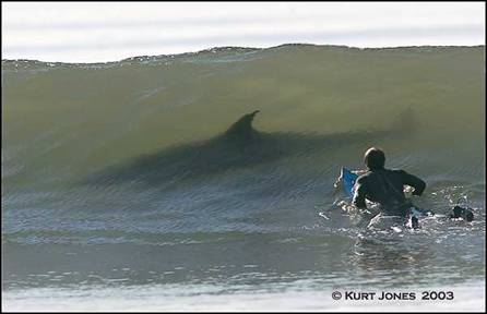 Not A Good Day For Surfing.bmp